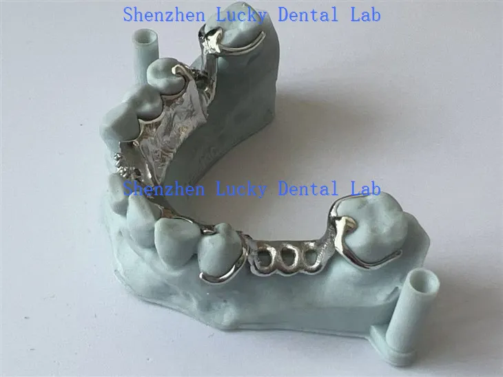 3D metalni okvir za ispis s dugomjernim laboratorijama